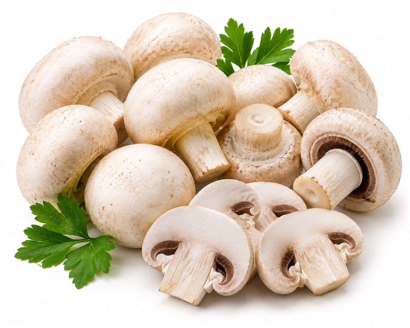 Fresh Mushroom online in Jaipur